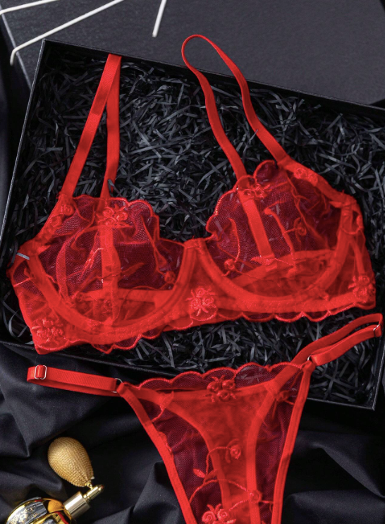 2 pièces Ensemble de lingerie en maille transparente brodée sexy pour femmes