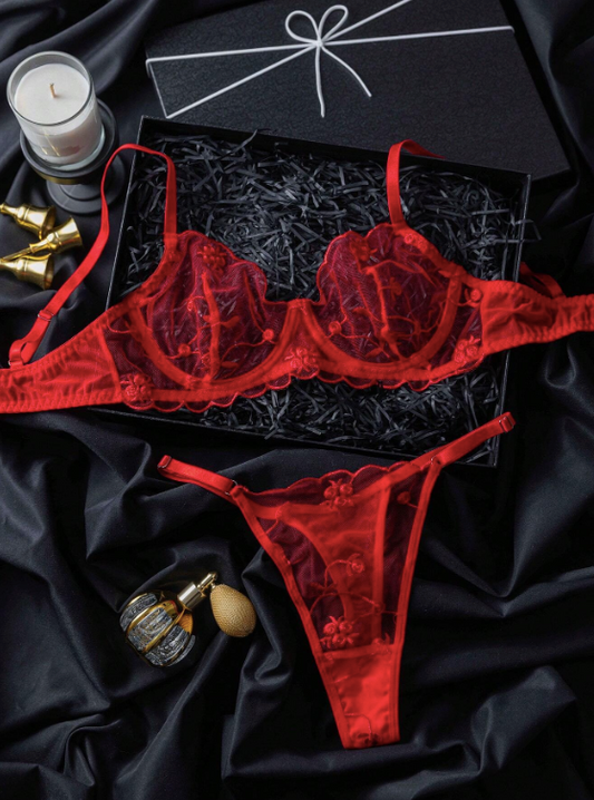 2 pièces Ensemble de lingerie en maille transparente brodée sexy pour femmes